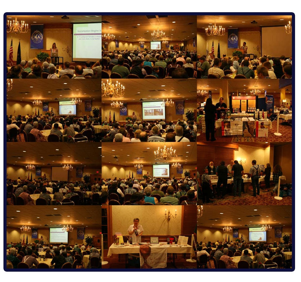 PPDBA, Pennsylvania, Pet, Breeders, Associationa, Photos